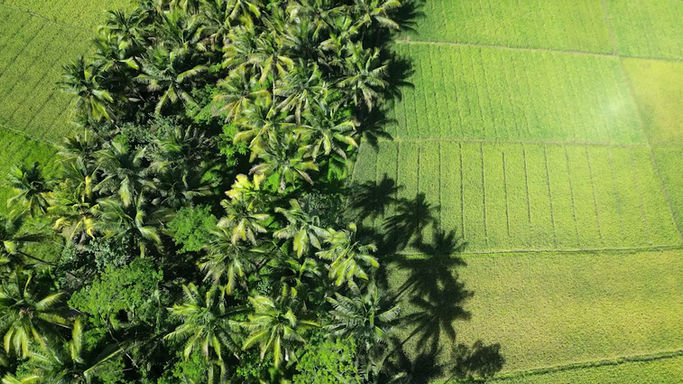 Indonesia - West Java